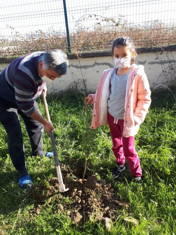 Hataya Hayat Olalım